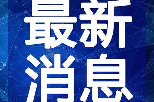 子林最新爆料新闻视频,揭秘事件背后惊人真相