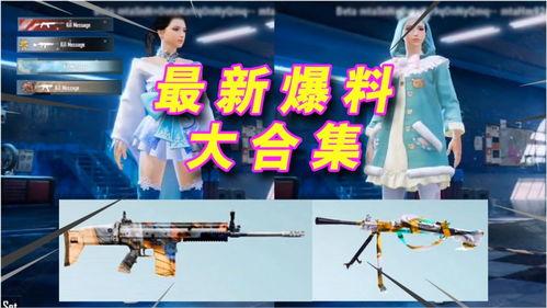 吃鸡新枪皮肤爆料视频,吃鸡战场再添炫酷装备！  第2张
