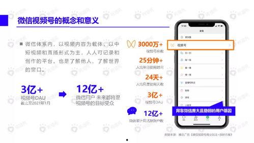 热联爆料视频最新下载免费,最新下载免费大揭秘! 第2张 热联爆料视频最新下载免费,最新下载免费大揭秘! 第2张