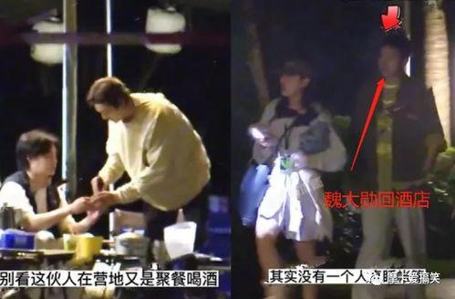 明星爆料爱情是真的吗视频,爱情真相大揭秘 第3张 明星爆料爱情是真的吗视频,爱情真相大揭秘 第3张