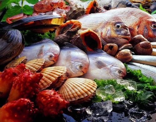 海鲜市场 爆料怎么做视频,揭秘幕后交易与新鲜资讯 第2张 海鲜市场 爆料怎么做视频,揭秘幕后交易与新鲜资讯 第2张