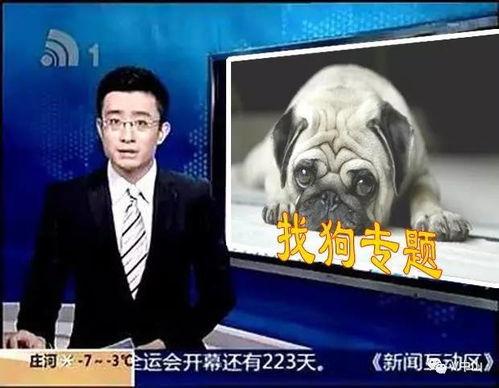 呼死狗今日爆料,揭秘网络骚扰黑幕  第2张 呼死狗今日爆料,揭秘网络骚扰黑幕  第2张