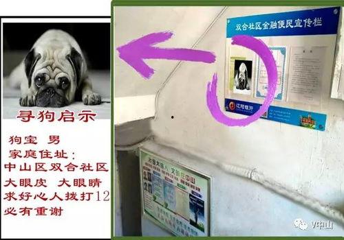 呼死狗今日爆料,揭秘网络骚扰黑幕  第3张 呼死狗今日爆料,揭秘网络骚扰黑幕  第3张